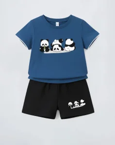 Ensemble panda bleu2